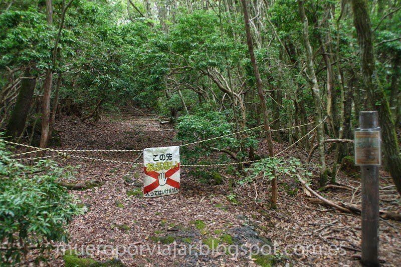 Más caminos cortados en el bosque - Aokigahara