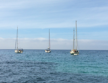 Qué ver en la Serra de Tramuntana de Mallorca mallorca3