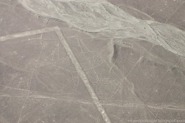 La Ballena en las Lineas de Nasca, Perú
