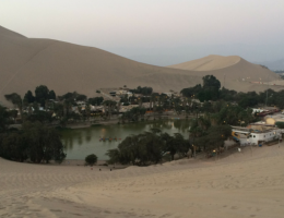 oasis huacachina