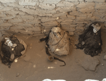 Mi hotel en Nazca – Hotel Oro Viejo