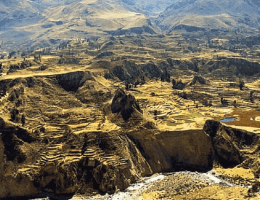 Cañon del Colca