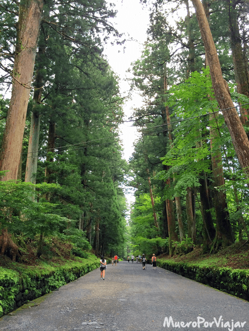 Paseando por los impresionantes parques de Nikko
