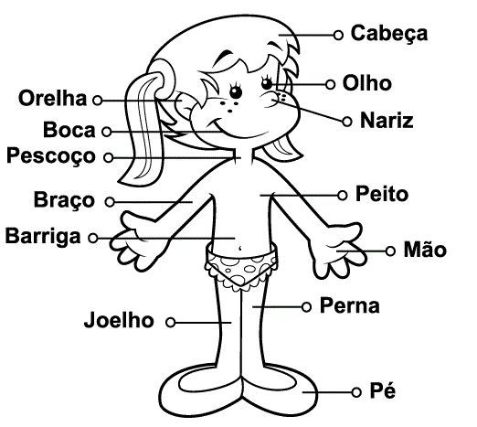 38881cee5de3e12fe1e05dc39fb2e113