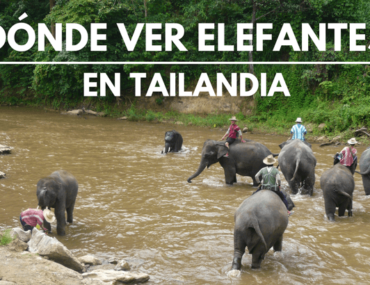 Dónde ver elefantes en Tailandia