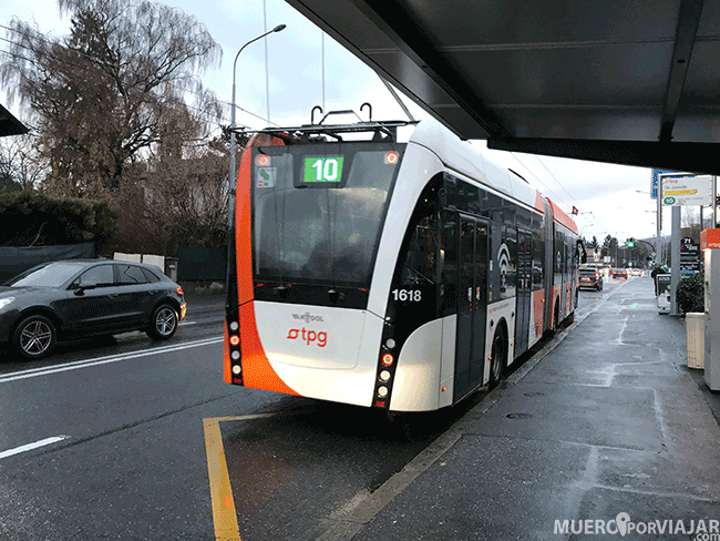 Autobús que va del centro al aeropuerto de Ginebra 