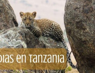 Ruta de 13 días en Tanzania